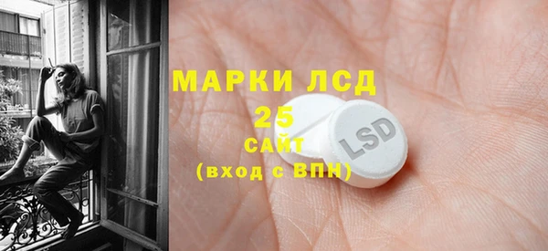 индика Майский
