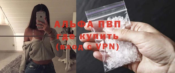 ПСИЛОЦИБИНОВЫЕ ГРИБЫ Абаза