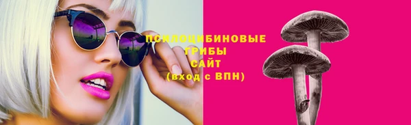 ПСИЛОЦИБИНОВЫЕ ГРИБЫ Абаза