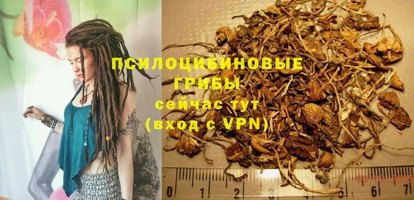 спиды Абинск