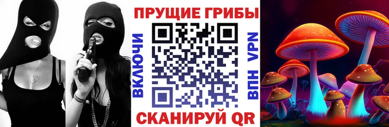 наркошоп  Сызрань  Псилоцибиновые грибы GOLDEN TEACHER 